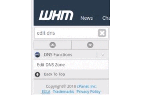 difference between cpanel dns only and cpanel whm