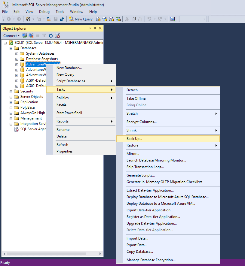 Back up button in Microsoft SQL Server Management Studio.