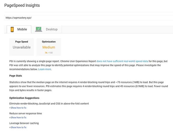 page speed insights