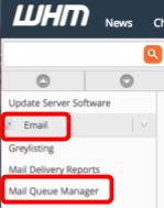 In WHM, locate email and Mail Queue Manager to view and manage email messages queued for delivery.