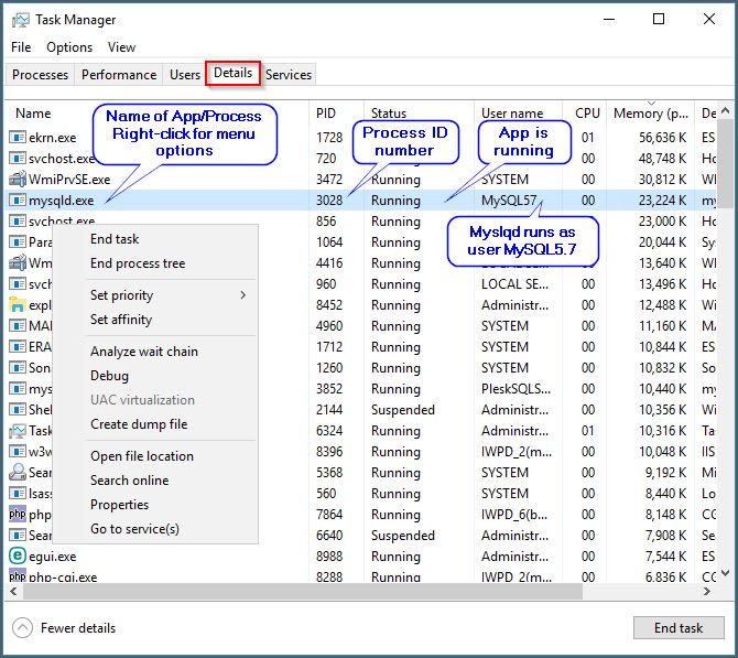 task manager details view