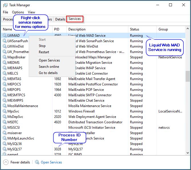 task manager services view