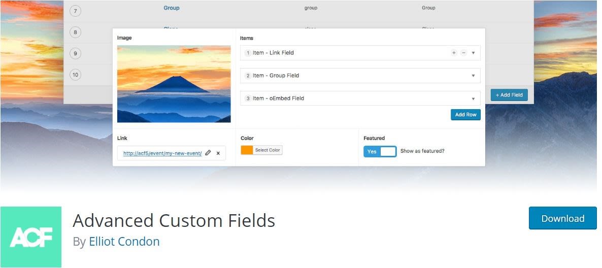 Advanced Custom Fields - best Gutenberg plugins