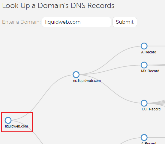 lw dns tree domain