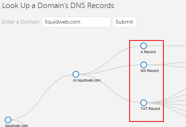 lw dns tree record types