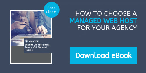 eBook - Building Out Your Digital Agency With Managed Hosting