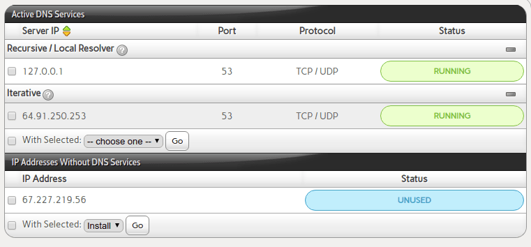 interworx DNS active services