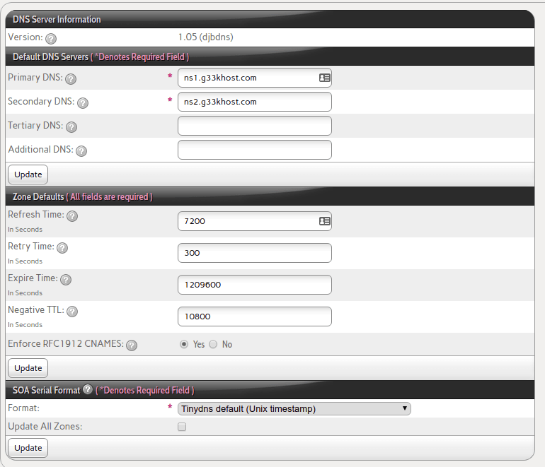 interworx DNS info