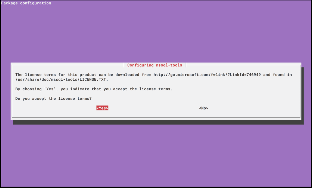 interactive license prompt