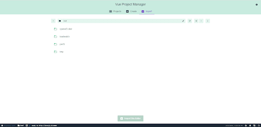 vue project manager page