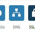 CF.dns.icon2