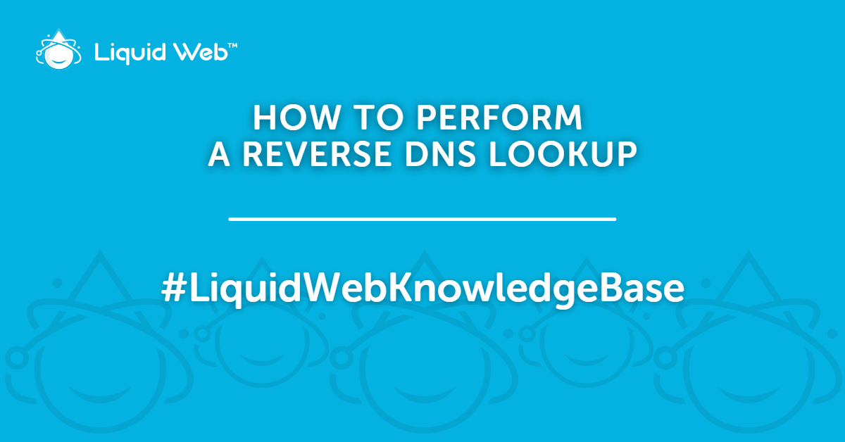 Reverse DNS Lookup - ®