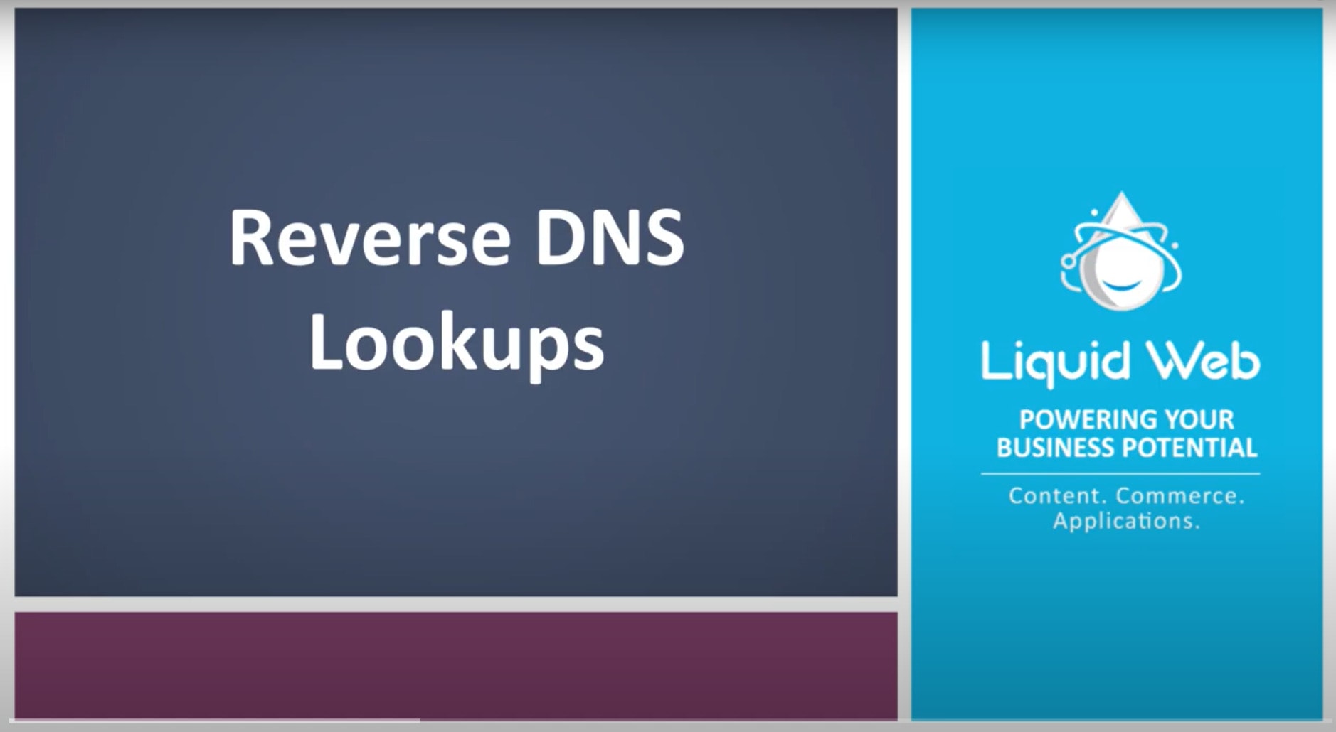 Reverse DNS Lookup - ®