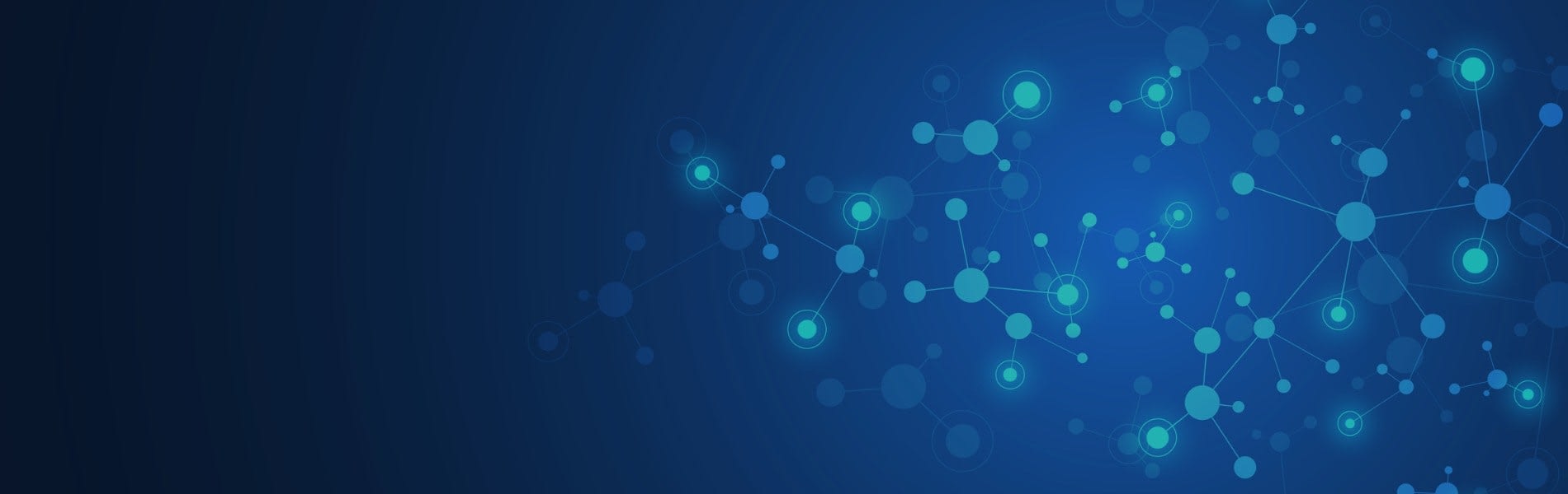 Content Management System: A Comprehensive A-Z Guide | Liquid Web