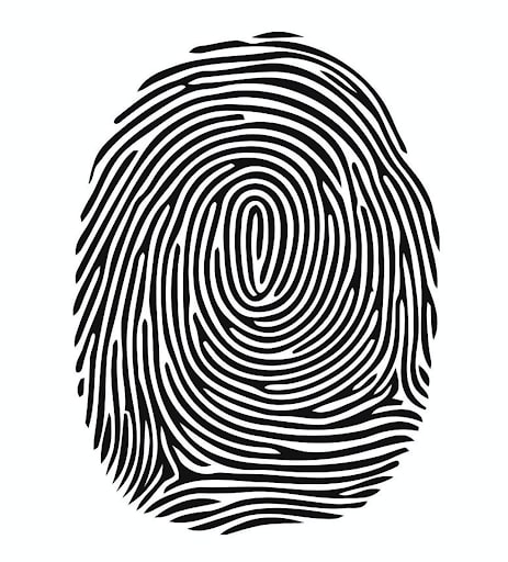 Biometric Systems such as facial or retinal recognition, or fingerprints.