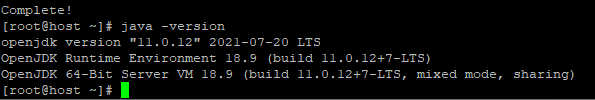 Hosting a Minecraft server on Linux — you will see this output.