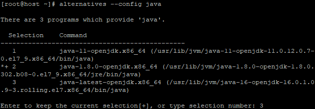 Hosting a Minecraft server on Linux — you will be presented with the versions of Java installed on your server, each with a corresponding number. Choose the appropriate number and press the Enter key.