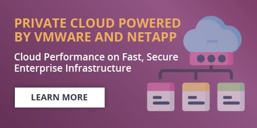 Private Cloud Powered by VMware and NetApp banner