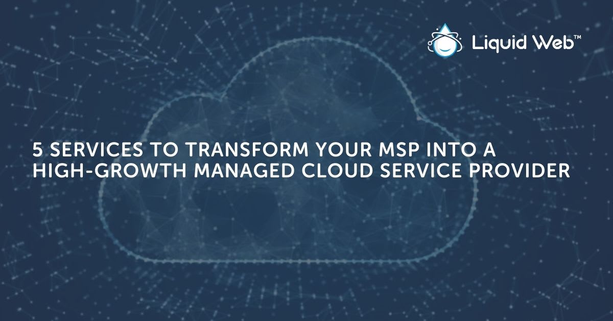 Transform Your MSP right into a Managed Cloud Service Provider