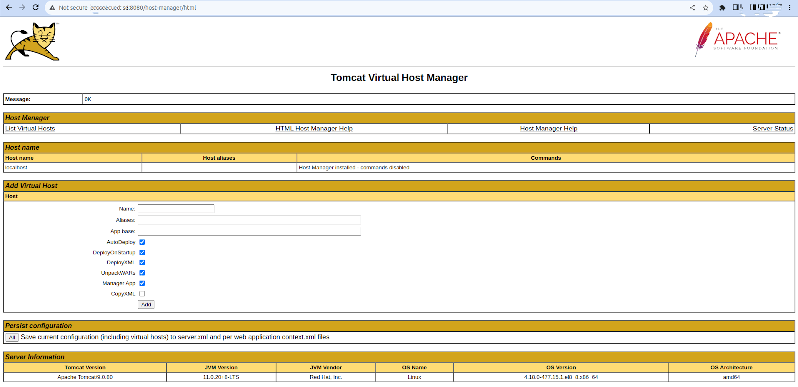 How to Install Apache Tomcat on Linux (AlmaLinux): Host Manager App - Tomcat Virtual Host Manager Detailed View