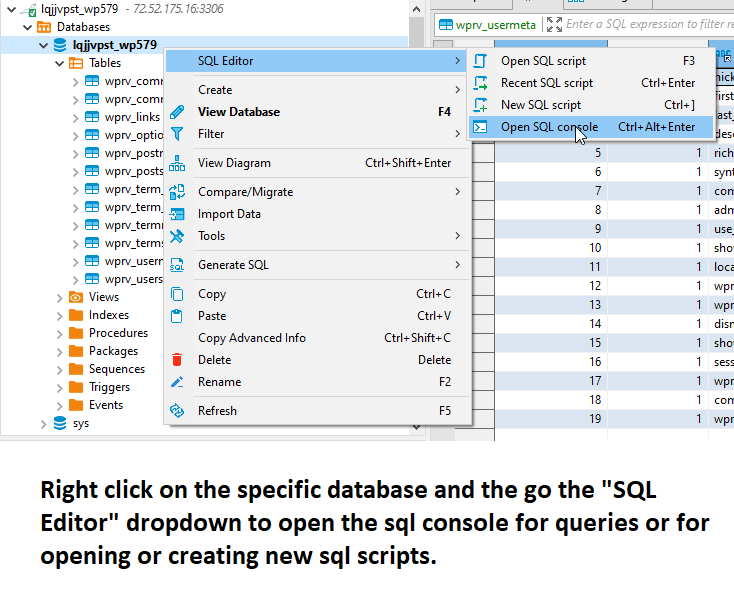 DBeaver tutorial for PostgreSQL, SQLite, MySQL, and MariaDB — you can right-click a specific database and then go to the SQL Editor to create queries.