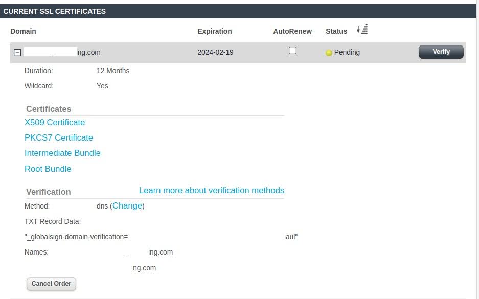 How to renew an SSL certificate (a paid SSL cert) — domain verification via the DNS method and TXT record data.