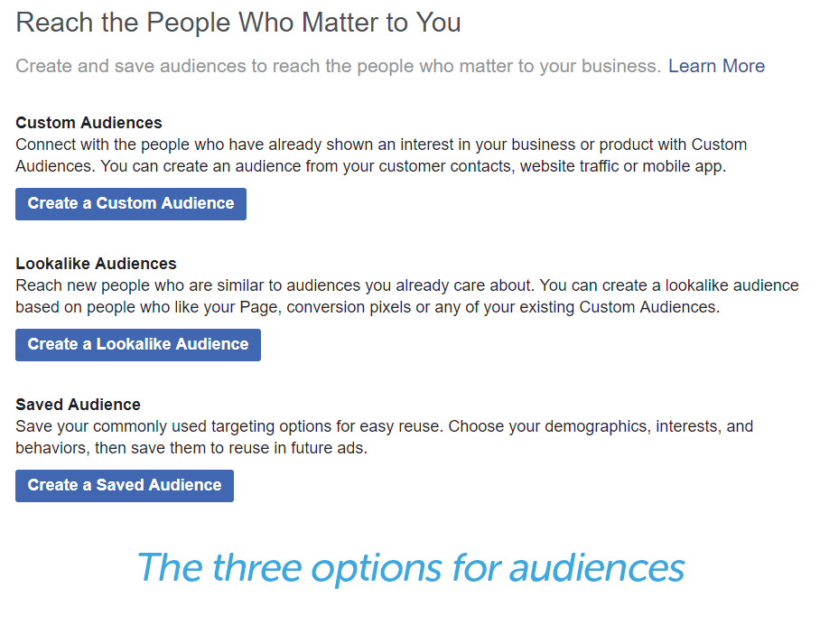 custom, lookalike, and saved audience options