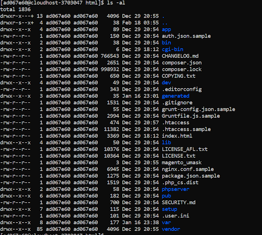 html folder of each domain will have the basic Magento infrastructure