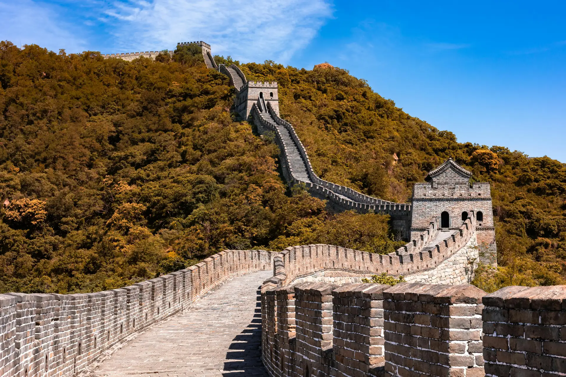 aaa
