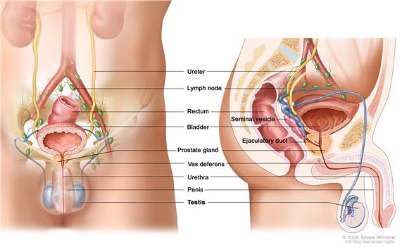 Pins And Needles In Testicles