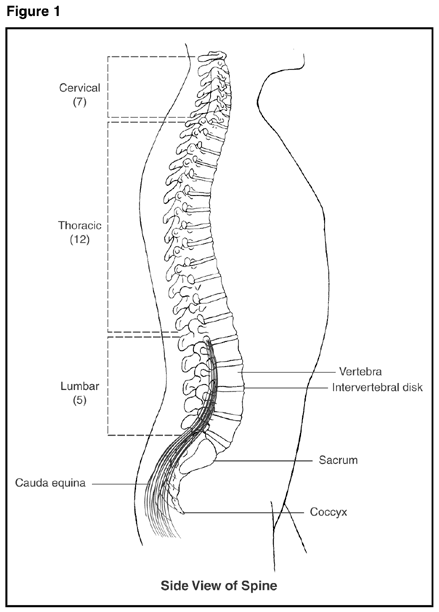 https://res.cloudinary.com/lwzh69gvq/image/upload/v1702010619/web//images/Diseases/788_1.gif