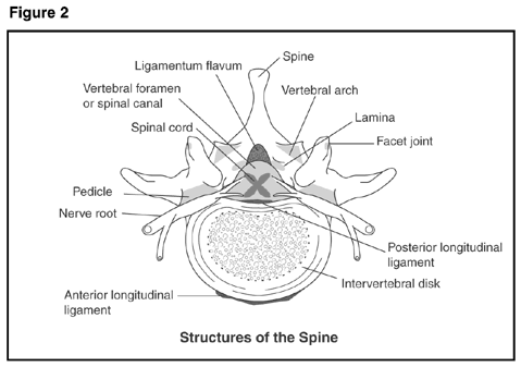 https://res.cloudinary.com/lwzh69gvq/image/upload/v1702010619/web//images/Diseases/788_2.gif