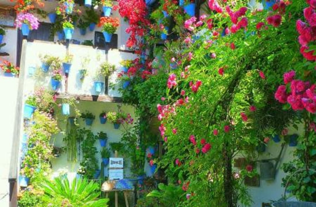 Privileged access patios and gardens of Seville and Cordoba