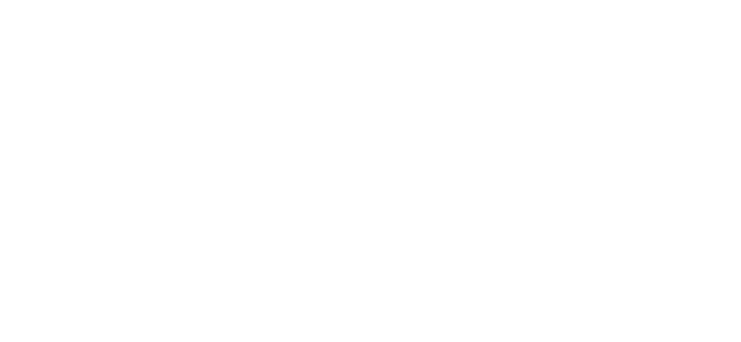 The Travel Professionals
