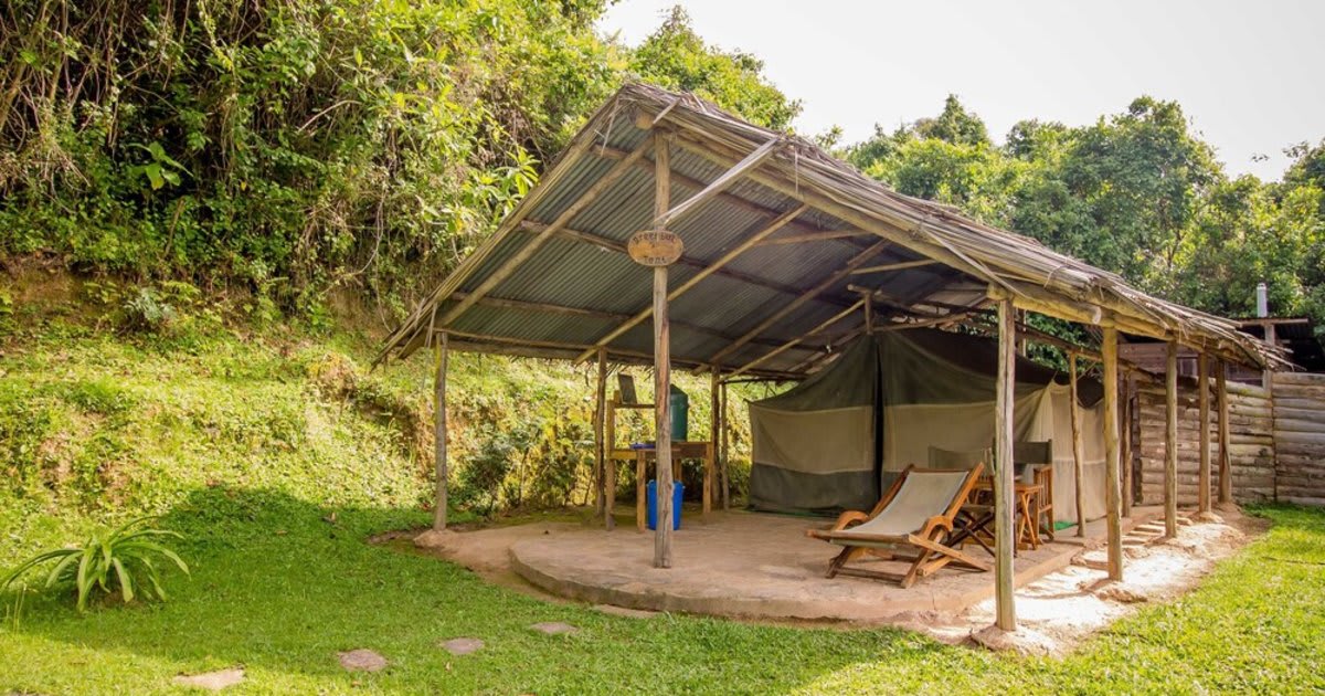 Bushara Island Camp