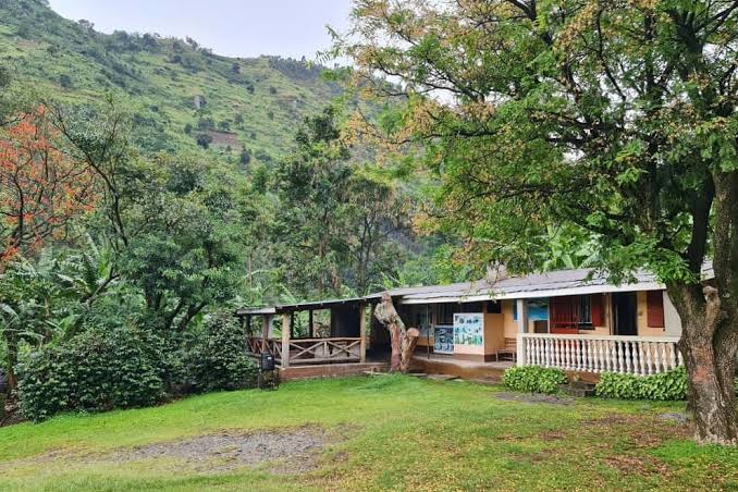 Rwenzori Trekkers Hostel