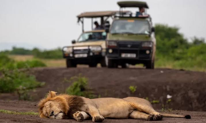First-Time Uganda Safari FAQs