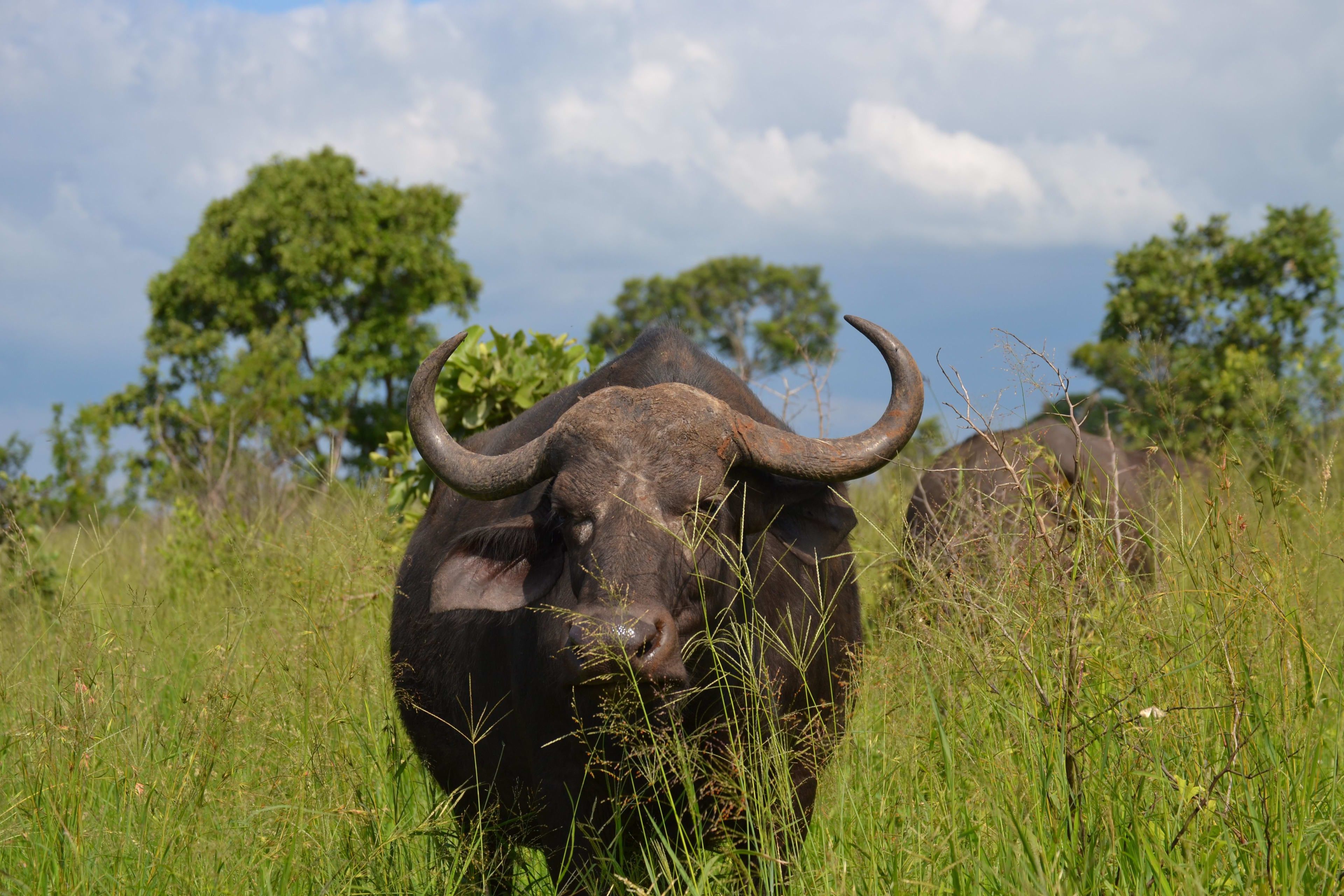 Lake Mburo National Park Guide