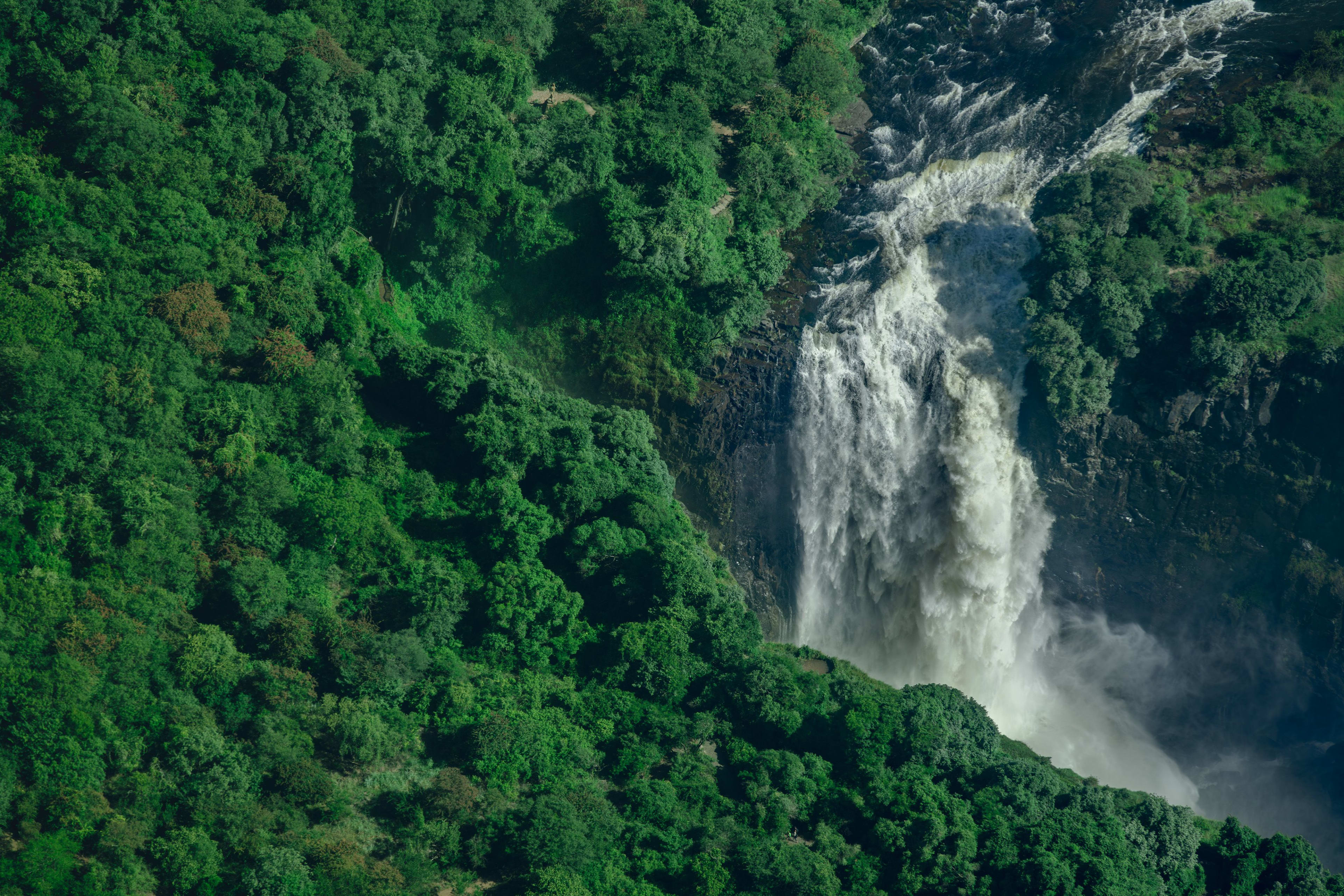 Murchison Falls National Park
