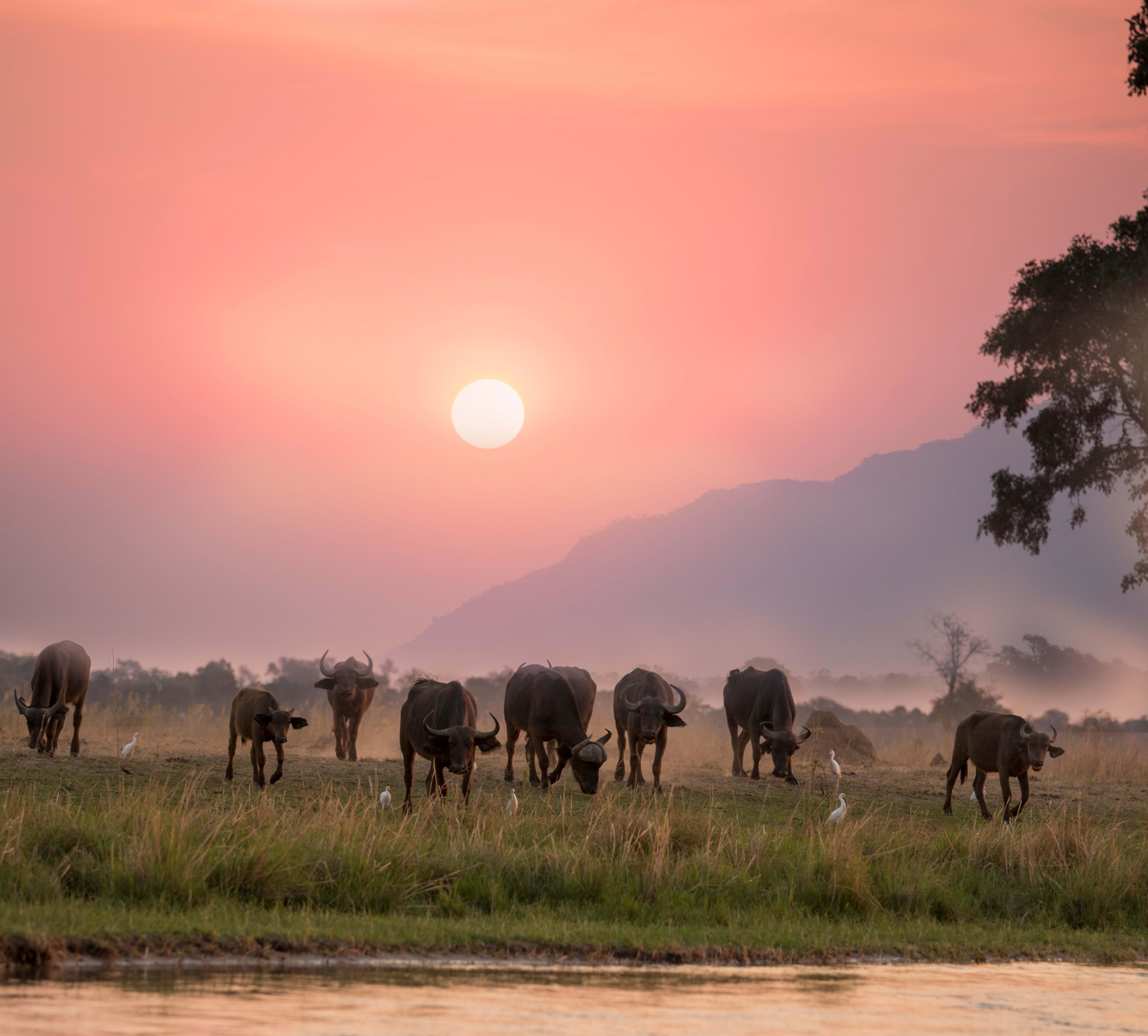 Murchison Falls National Park