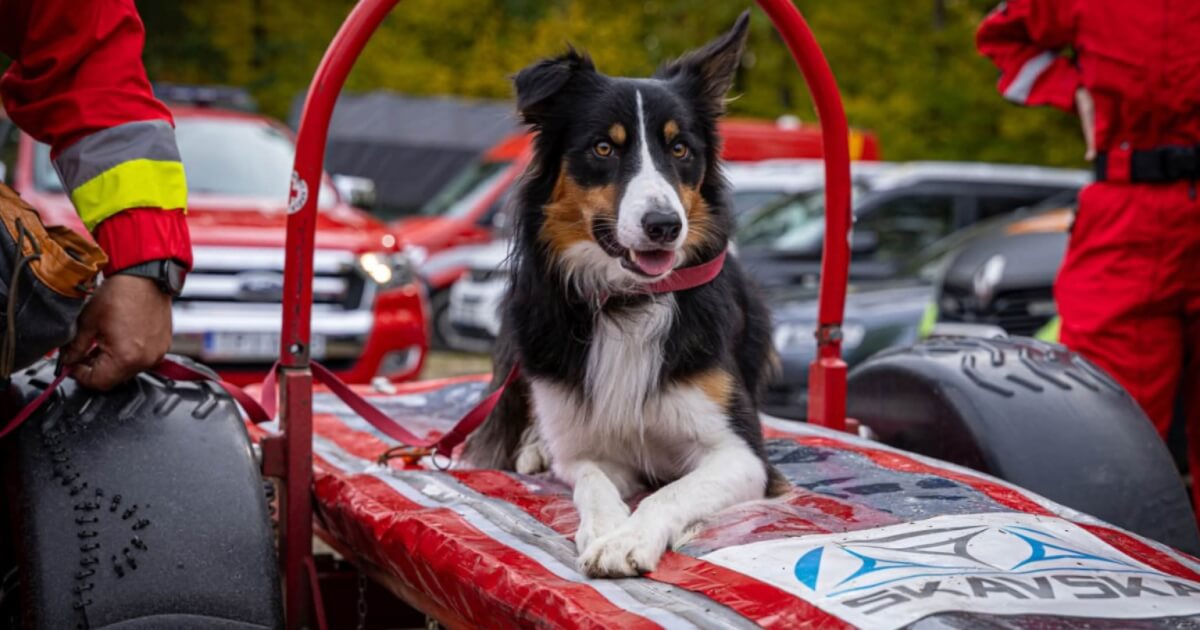 Ratownicy ćwiczyli poszukiwania zaginionych na Ponidziu