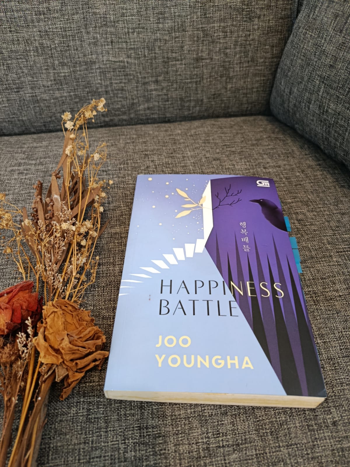 Happiness Battle