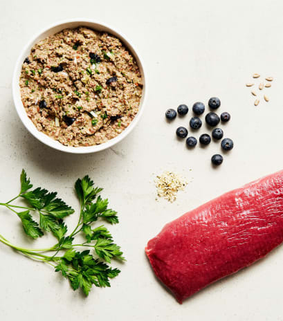 Fresh dog food recipe ingredients