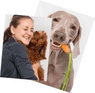 Happy Dogs See the benefits of fresh dog food