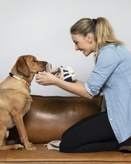 A dog and a human hanging out