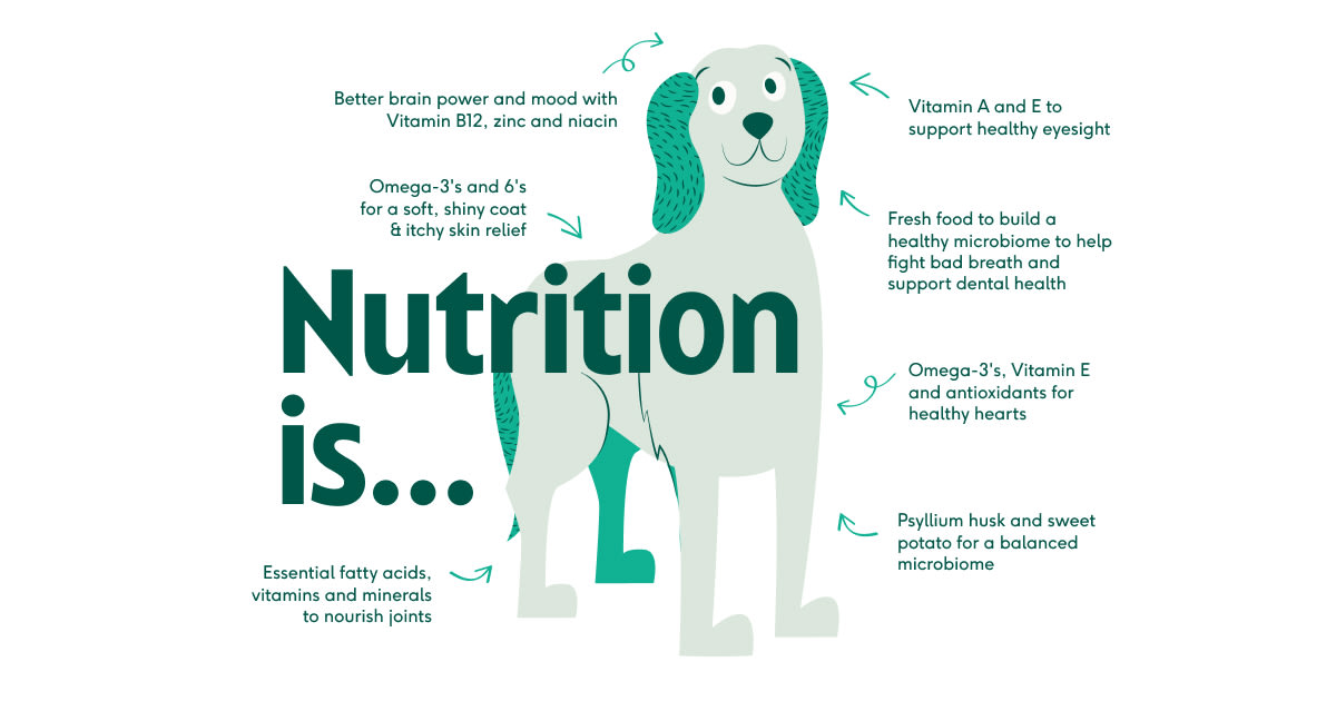 Dog nutrition checklist