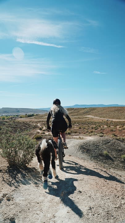 Cycling with your dog