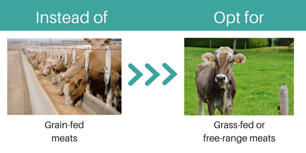 Grain-fed meats vs grass-fed or free-range meats