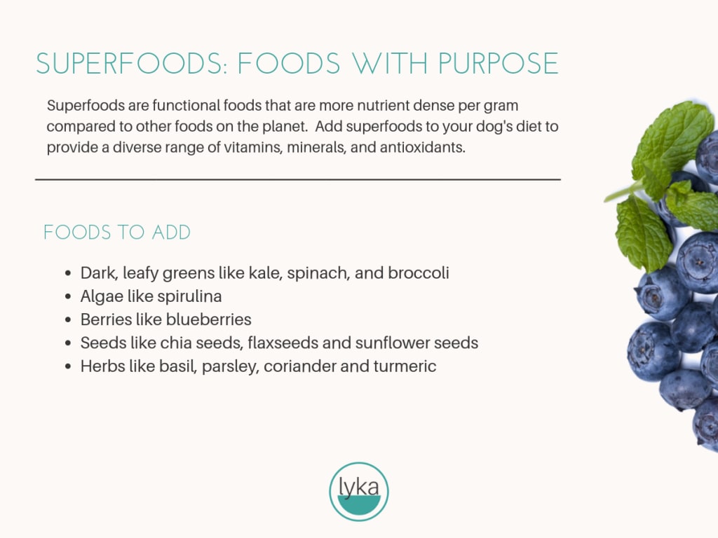 Super foods are foods with a nutritional purpose for your dog