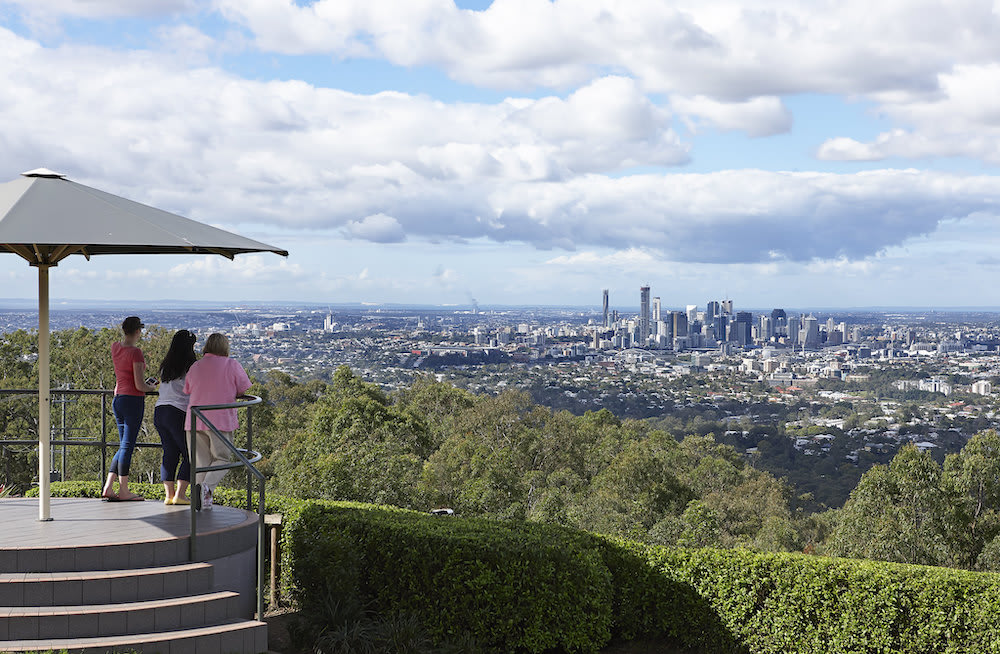 Mt Coot-tha dog friendly walk